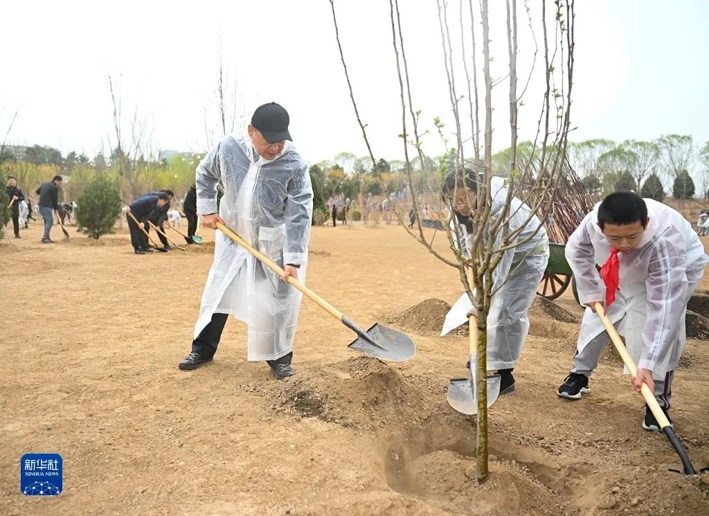 習近平在參加首都義務植樹活動時強調 掀起造林綠化熱潮 繪出美麗中國的更新畫卷